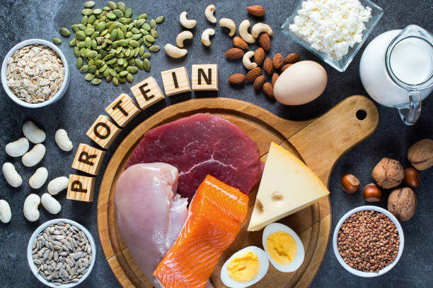 Le rôle et l’importance des protéines dans l’alimentation des chiens et chats